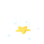 View Hop Starfish (VOR 7254)
