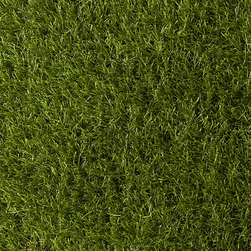 CAD Drawings EnvyLawn (manufactured by Challenger Turf) EnvyRye