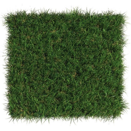 View DuPont™ ForeverLawn® Select VR