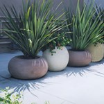 View Calypso / Planters & Vases