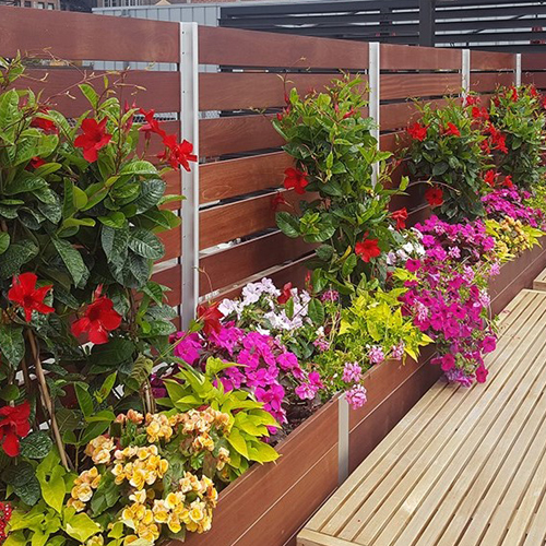 CAD Drawings DeepStream Designs Mariner Planters with Screen Wall