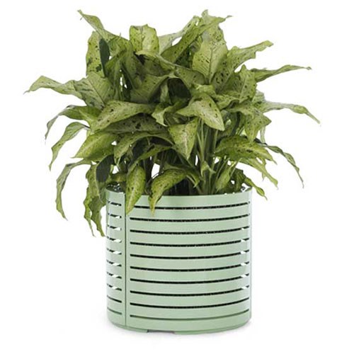View MTL Collection Planter