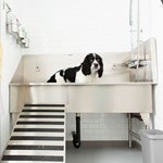 View Dog Grooming Sink