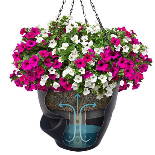 CAD Drawings BIM Models EarthPlanter Self Watering Planters Pro-Series 22 Self Watering Hanging Basket
