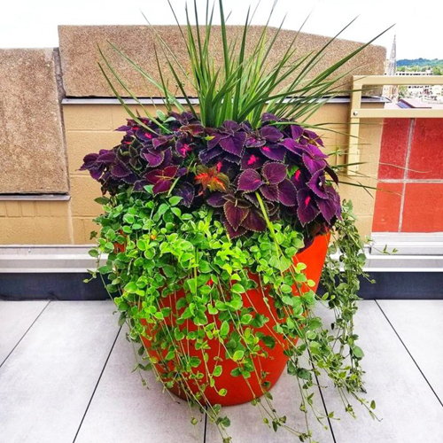 CAD Drawings BIM Models EarthPlanter Self Watering Planters Urban Vase 31