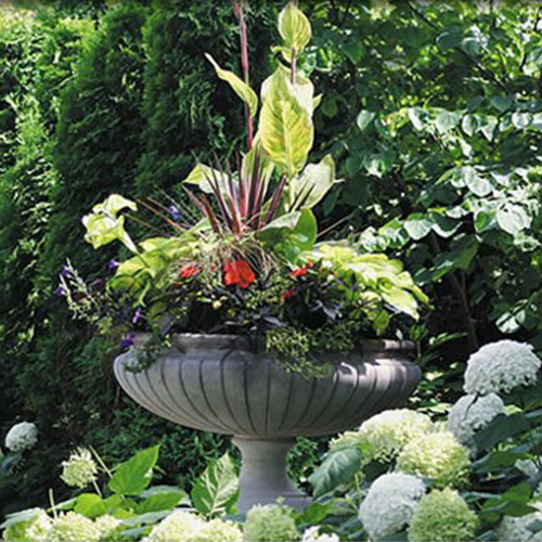 CAD Drawings Longshadow® Planters & Garden Ornaments, Classic Garden Ornaments, Ltd.® Barrington Planter