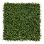 View ForeverLawn® Renew