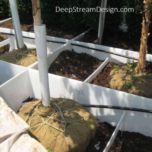 CAD Drawings DeepStream Designs Planter Liners with Advanced Drainage