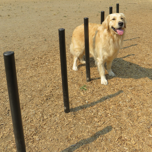 CAD Drawings BIM Models Dog-ON-It-Parks Flexible Weave Poles