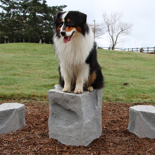CAD Drawings Dog-ON-It-Parks Stepping Stones