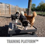 View Training Platform