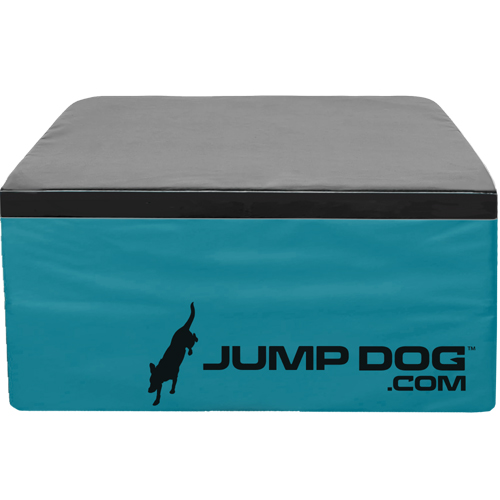 CAD Drawings Gyms For Dogs Jump Dog Agility