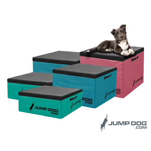 CAD Drawings Gyms For Dogs Jump Dog Agility