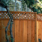 View Redwood Fencing
