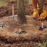 CAD Drawings BIM Models ArborStakes™ Biodegradable Tree Stake