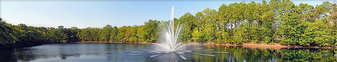 Vertex Aquatic Solutions Vertex Aquatic Solutions